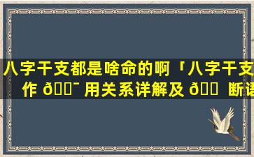八字干支都是啥命的啊「八字干支作 🐯 用关系详解及 🐠 断语」